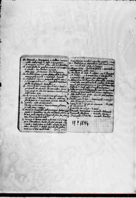 Fotogramma D 12