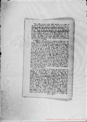 Fotogramma C 11