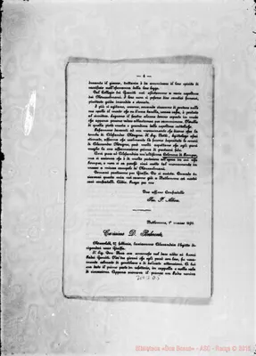 Fotogramma D 5