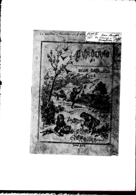 Fotogramma D 12