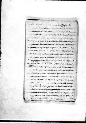 Fotogramma C 11