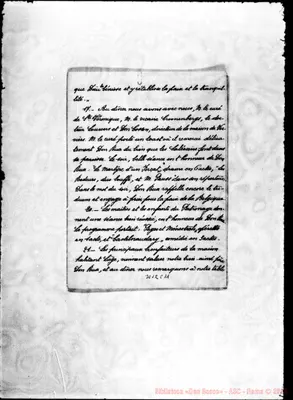 Fotogramma C 11