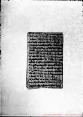 Fotogramma B 10