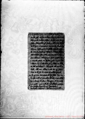 Fotogramma B 12