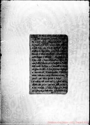 Fotogramma C 1
