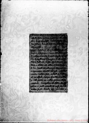 Fotogramma C 2