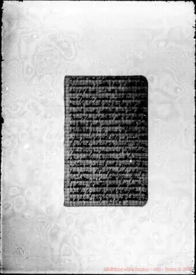 Fotogramma C 3