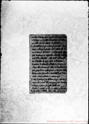 Fotogramma C 5