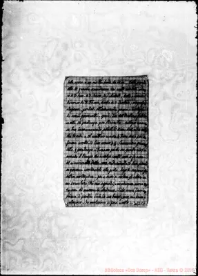 Fotogramma C 6