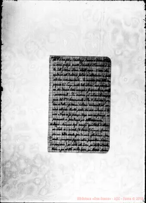 Fotogramma C 7