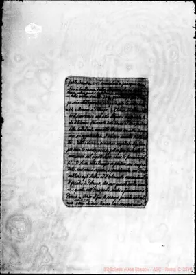 Fotogramma C 10