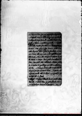 Fotogramma C 11