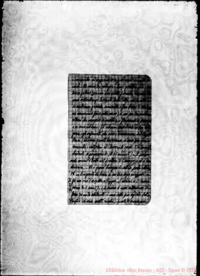 Fotogramma D 1