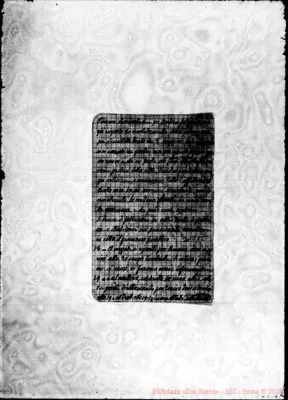 Fotogramma D 2
