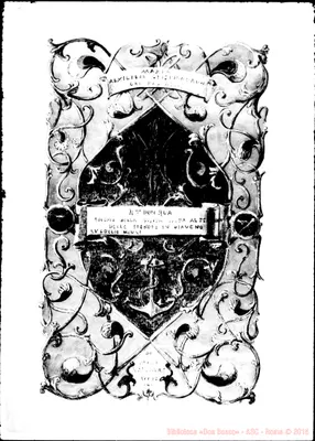 Fotogramma D 10