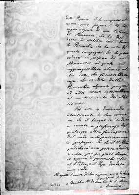 Fotogramma C 8