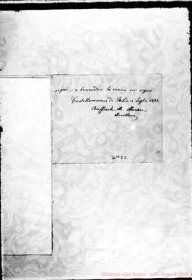 Fotogramma D 3
