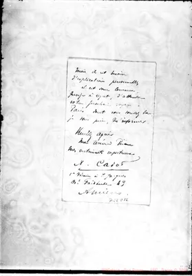 Fotogramma D 12