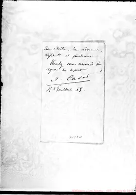 Fotogramma E 11