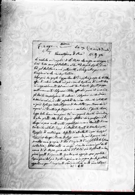 Fotogramma C 1