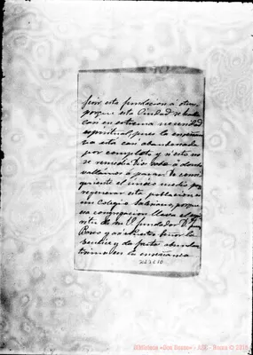 Fotogramma C 10