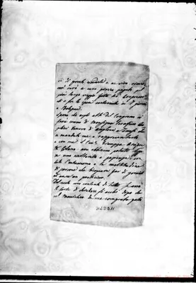 Fotogramma D 11