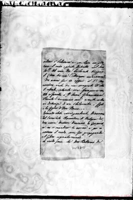 Fotogramma D 12