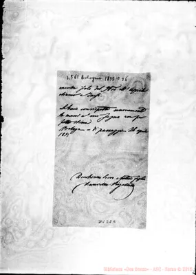 Fotogramma E 2