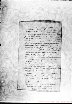 Fotogramma D 5