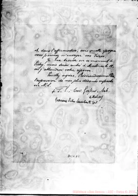 Fotogramma D 8