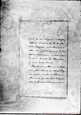 Fotogramma D 11