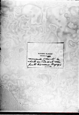 Fotogramma E 11