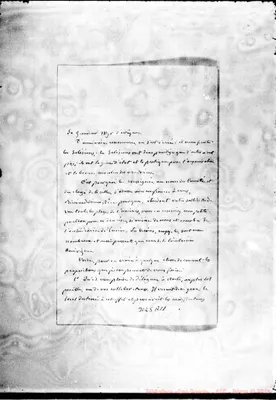 Fotogramma A 11