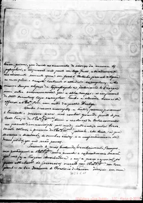 Fotogramma C 11
