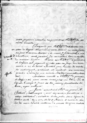 Fotogramma E 4