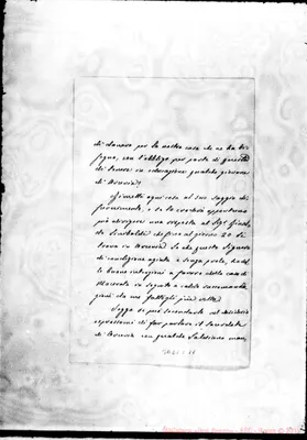 Fotogramma C 11
