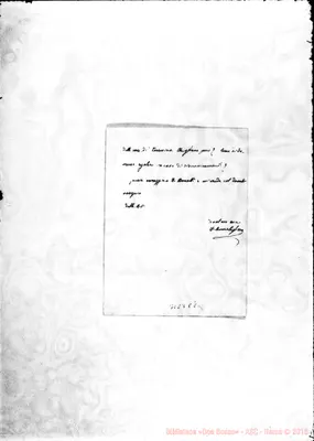 Fotogramma C 8