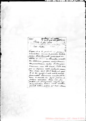 Fotogramma C 8