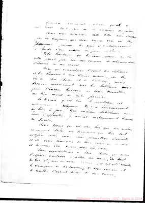 Fotogramma C 8