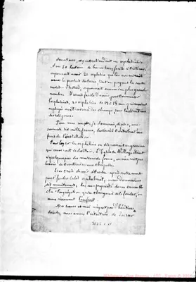 Fotogramma C 11