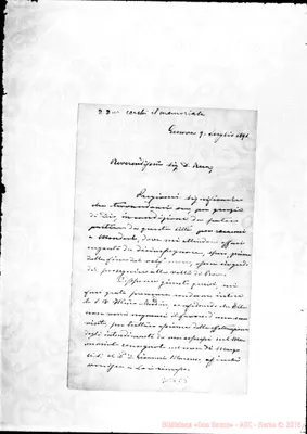 Fotogramma C 5