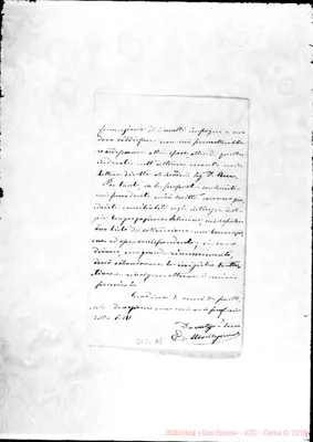 Fotogramma D 8