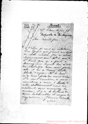 Fotogramma C 11