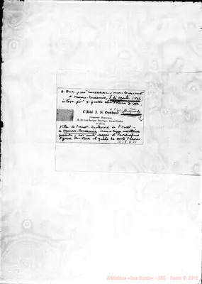 Fotogramma D 11