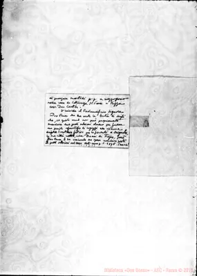 Fotogramma D 12