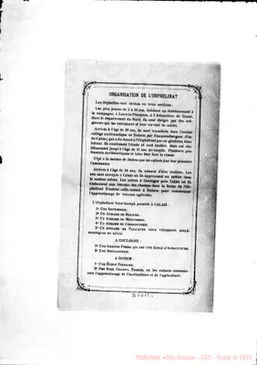Fotogramma B 5