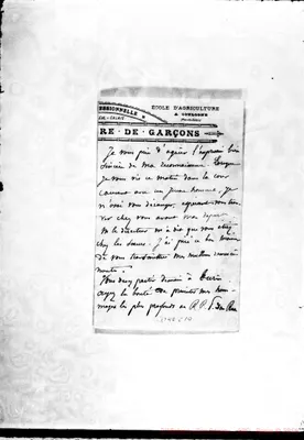 Fotogramma C 10