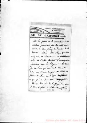 Fotogramma D 8