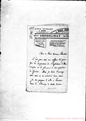 Fotogramma D 11