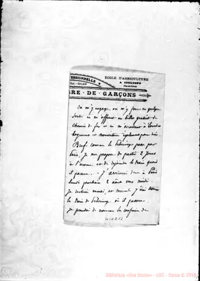 Fotogramma D 12